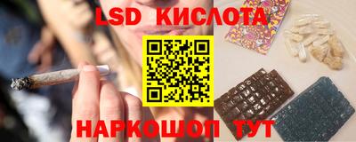 дмт Славгород