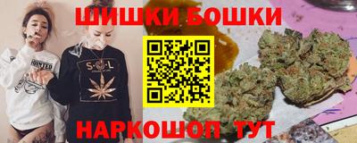 дмт Славгород