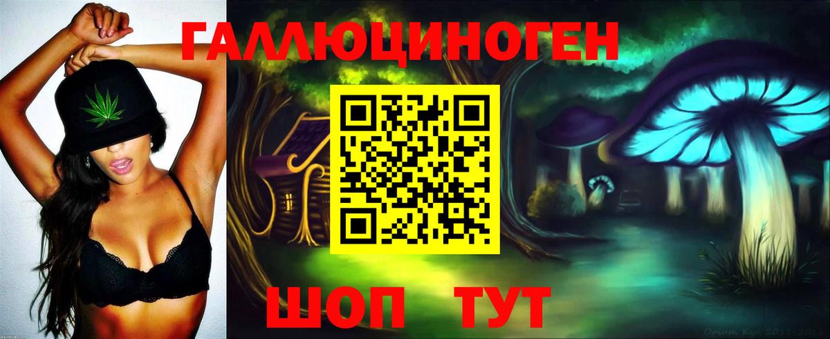 Псилоцибиновые грибы Cubensis Тобольск